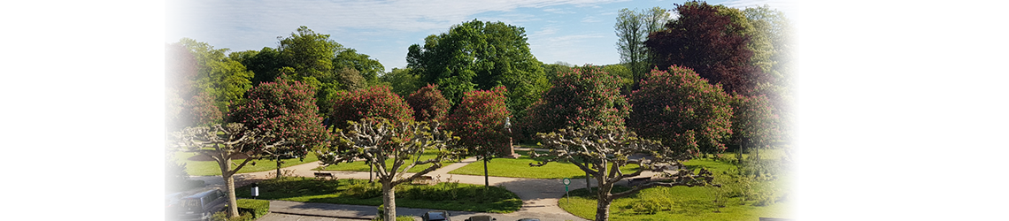 Ausblick auf den Kurpark Bad Homburg
